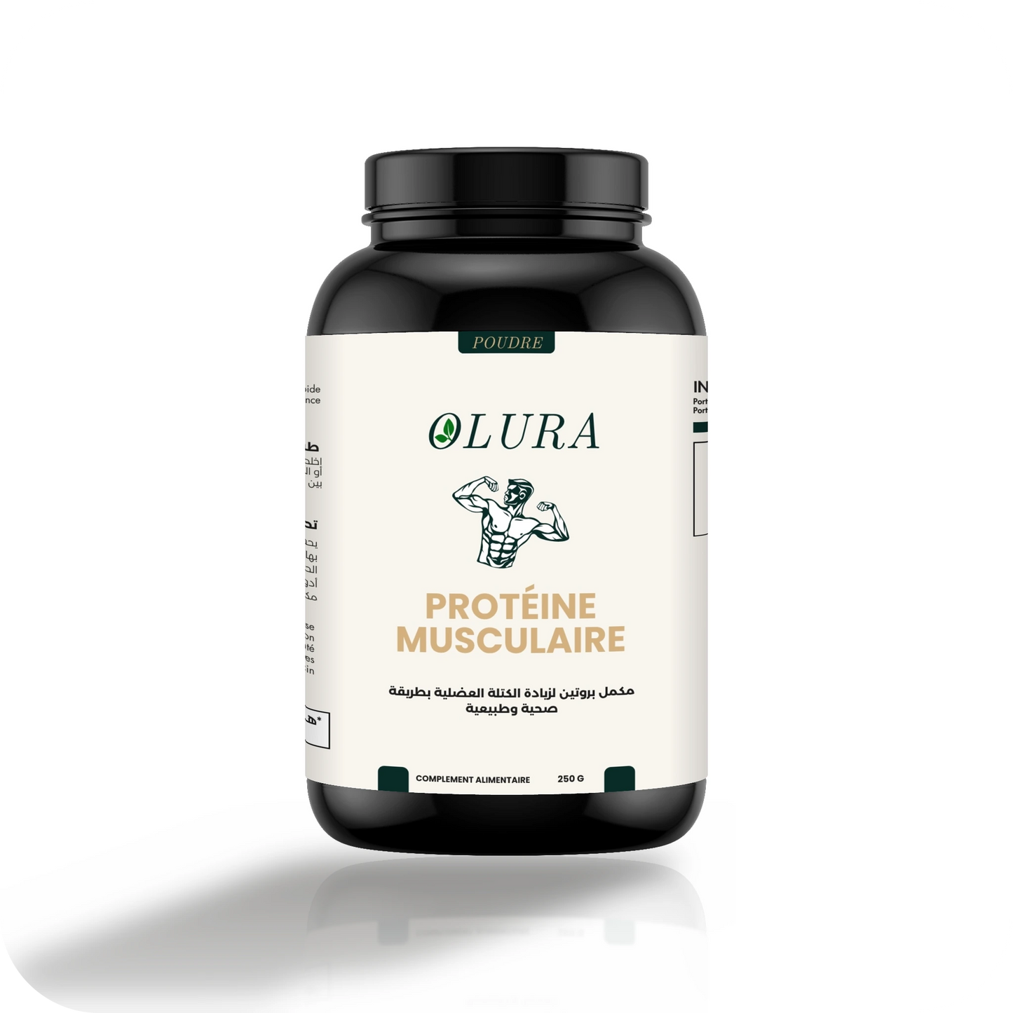 Protéine Musculaire
